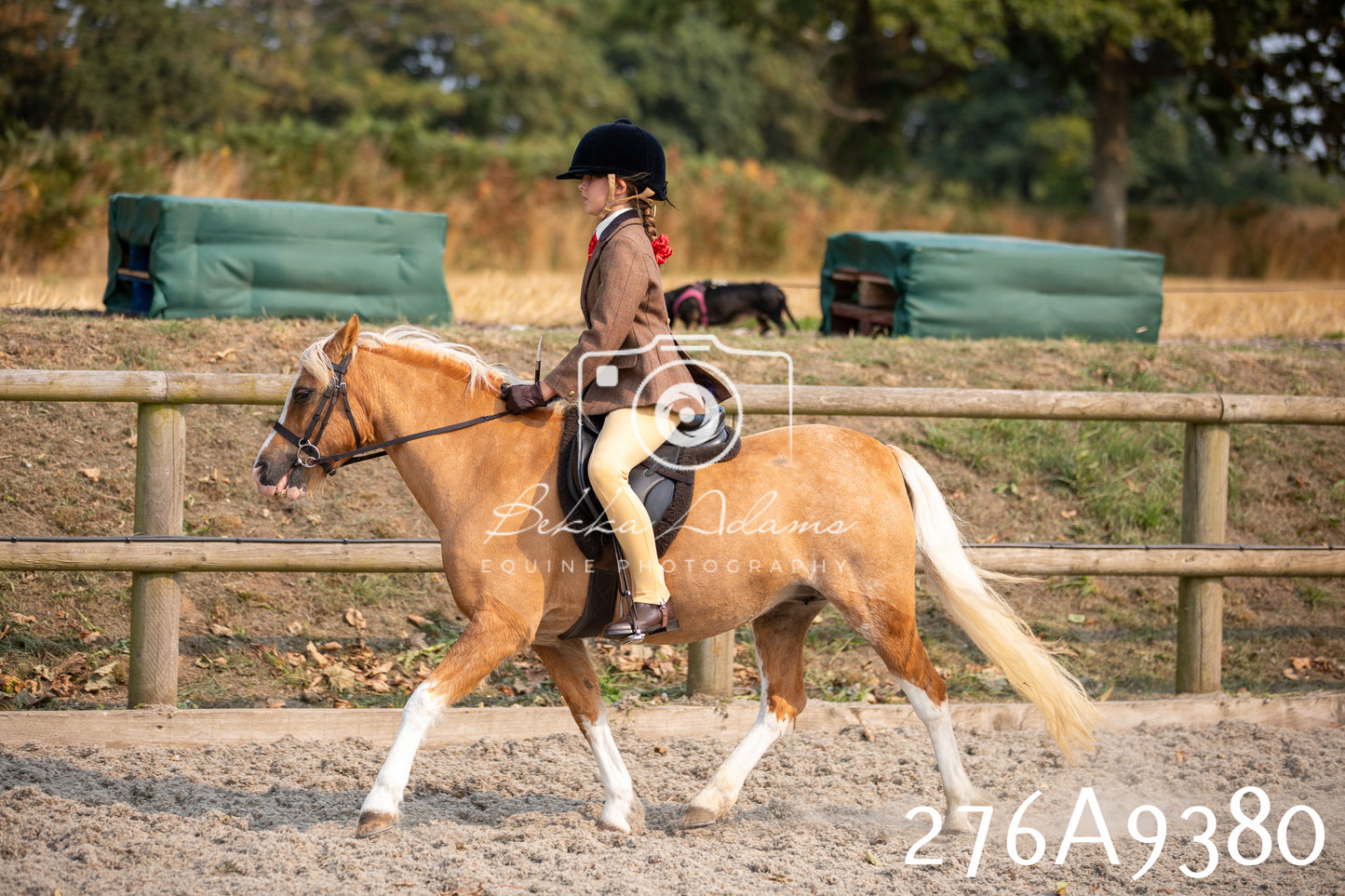 Home Farm Annual Show 2025 - Ridden Pt 1