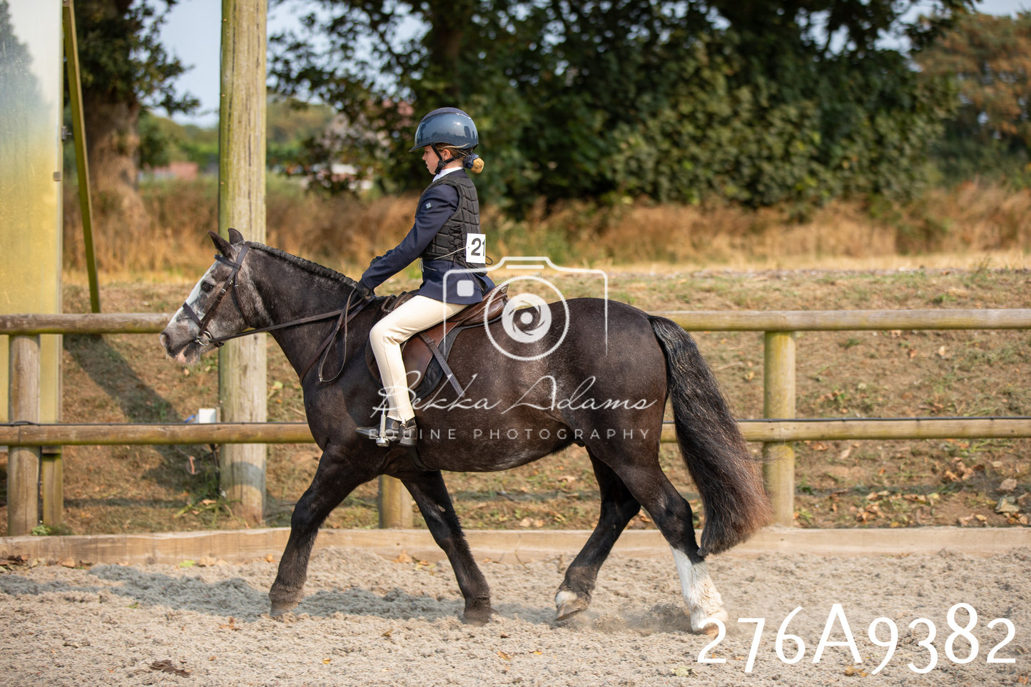 Home Farm Annual Show 2025 - Ridden Pt 1