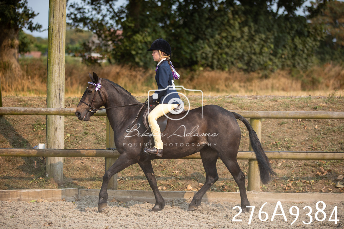 Home Farm Annual Show 2025 - Ridden Pt 1