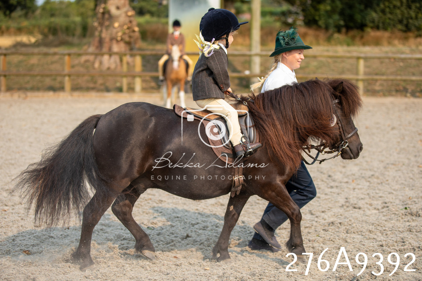 Home Farm Annual Show 2025 - Ridden Pt 1