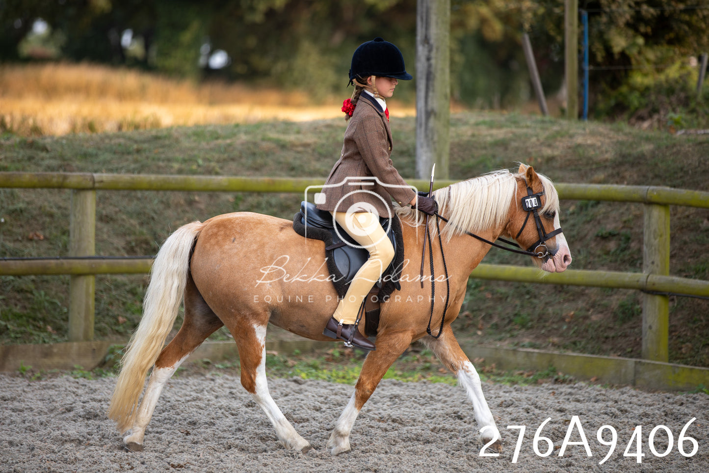 Home Farm Annual Show 2025 - Ridden Pt 1