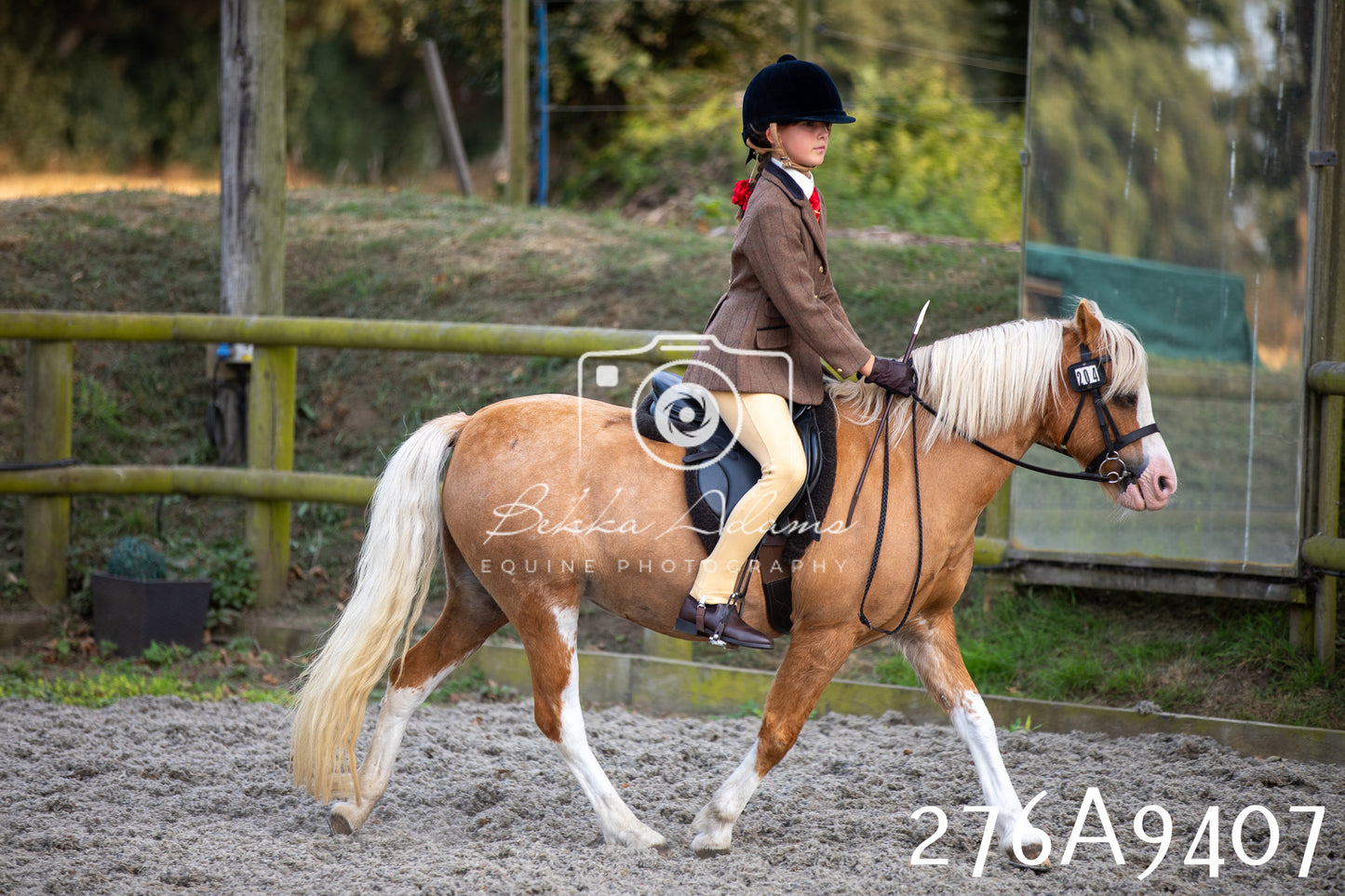 Home Farm Annual Show 2025 - Ridden Pt 1