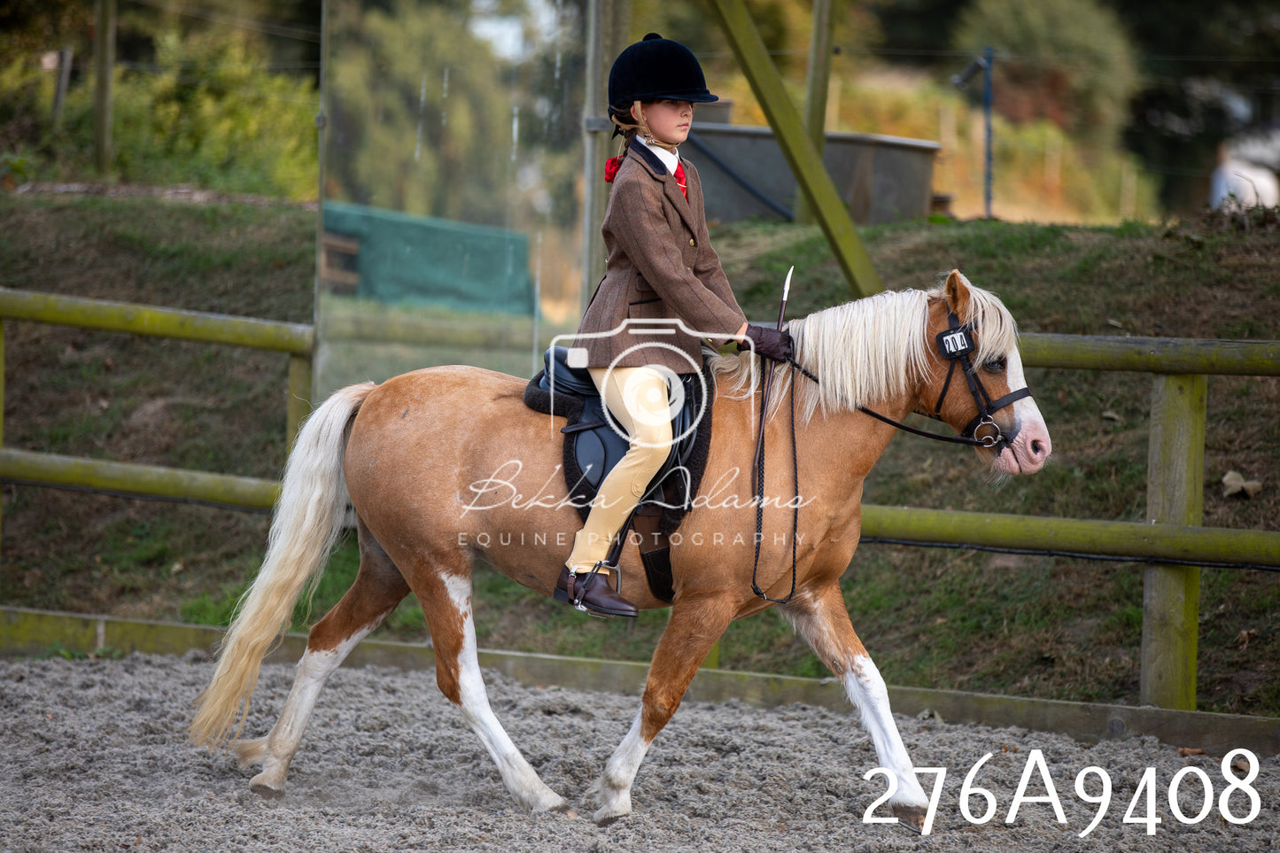 Home Farm Annual Show 2025 - Ridden Pt 1