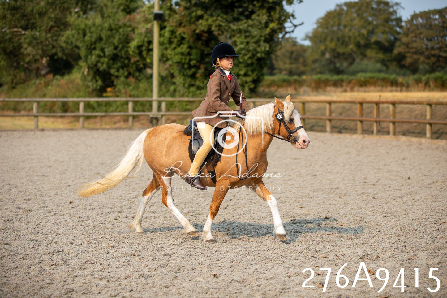 Home Farm Annual Show 2025 - Ridden Pt 1
