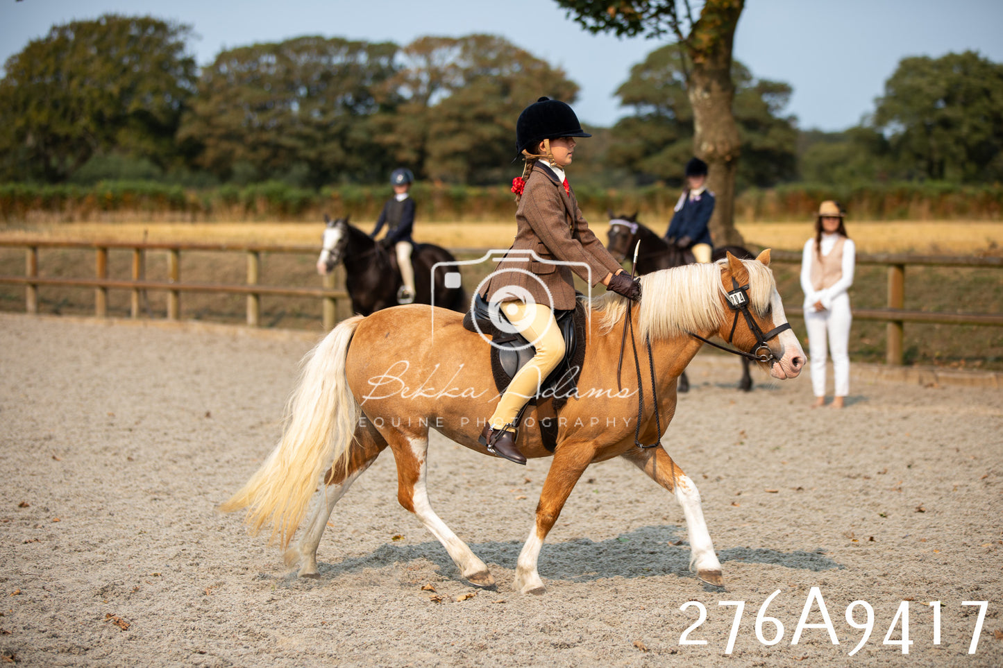 Home Farm Annual Show 2025 - Ridden Pt 1