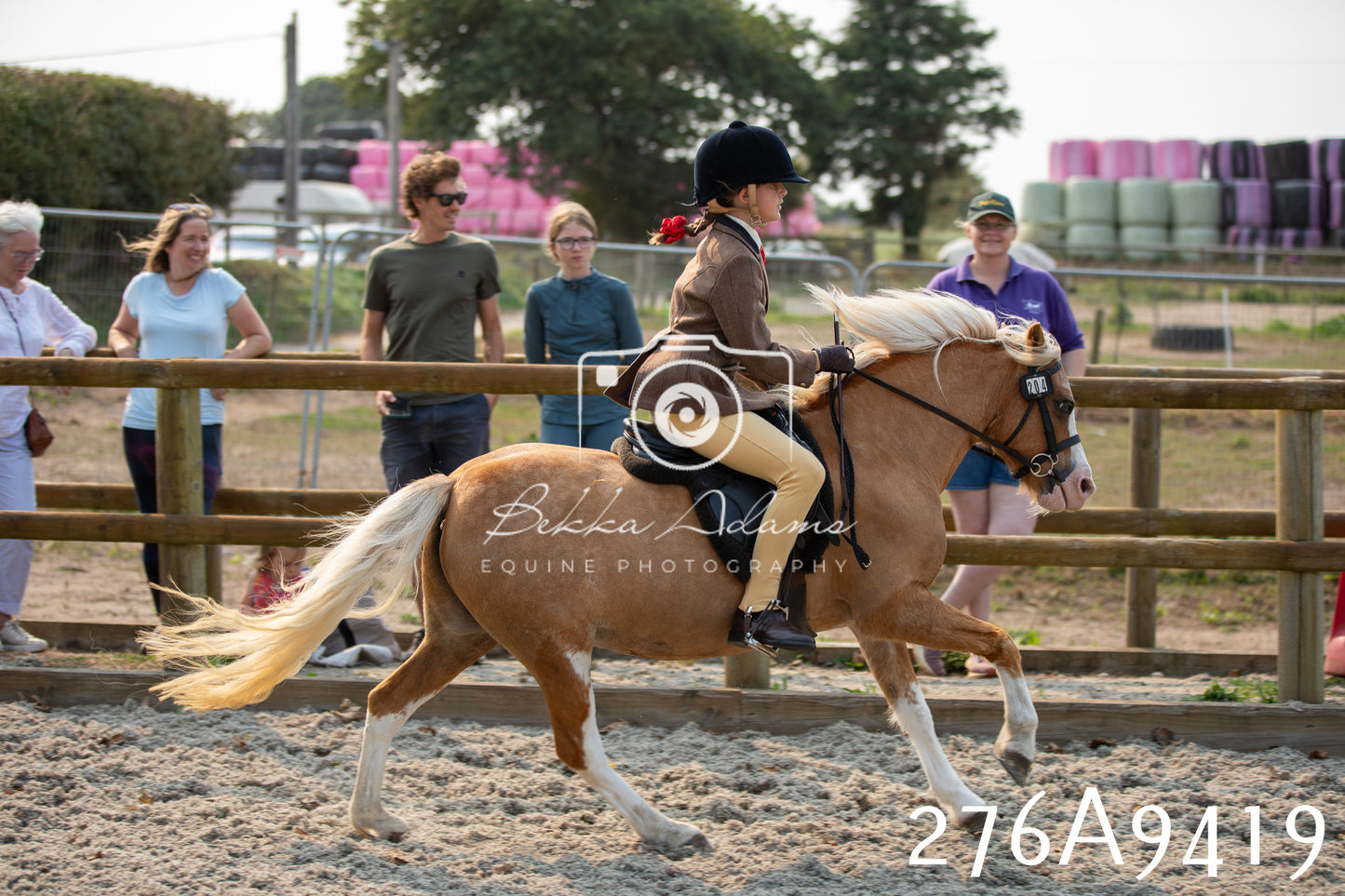 Home Farm Annual Show 2025 - Ridden Pt 1