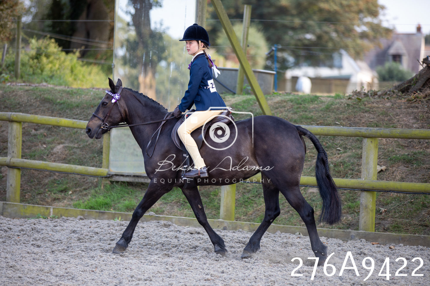 Home Farm Annual Show 2025 - Ridden Pt 1