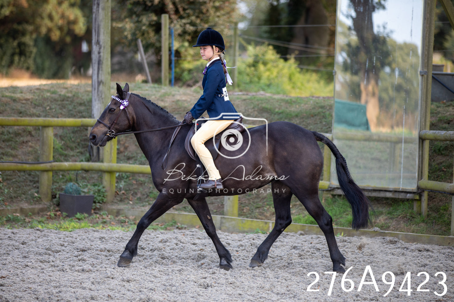 Home Farm Annual Show 2025 - Ridden Pt 1