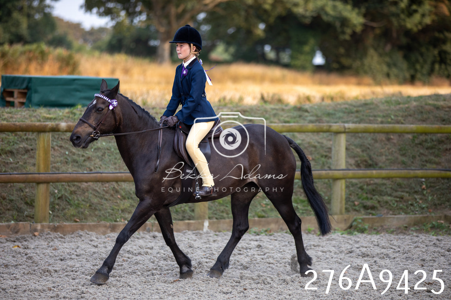 Home Farm Annual Show 2025 - Ridden Pt 1