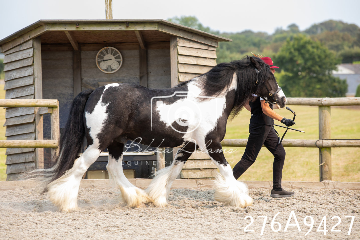 Home Farm Annual Show 2025 - Inhand Pt 2