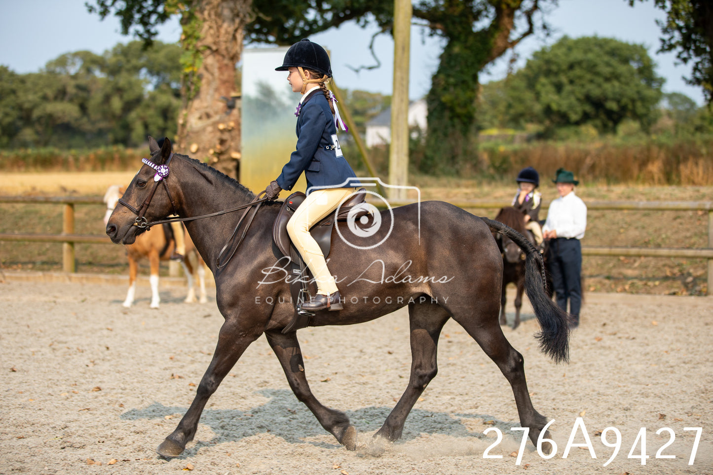 Home Farm Annual Show 2025 - Ridden Pt 1