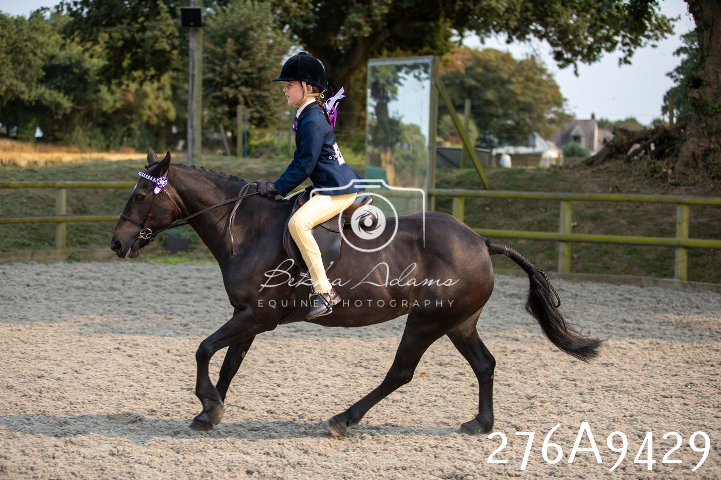 Home Farm Annual Show 2025 - Ridden Pt 1