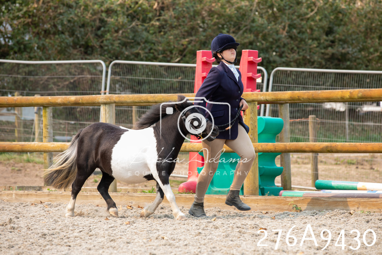 Home Farm Annual Show 2025 - Inhand Pt 2