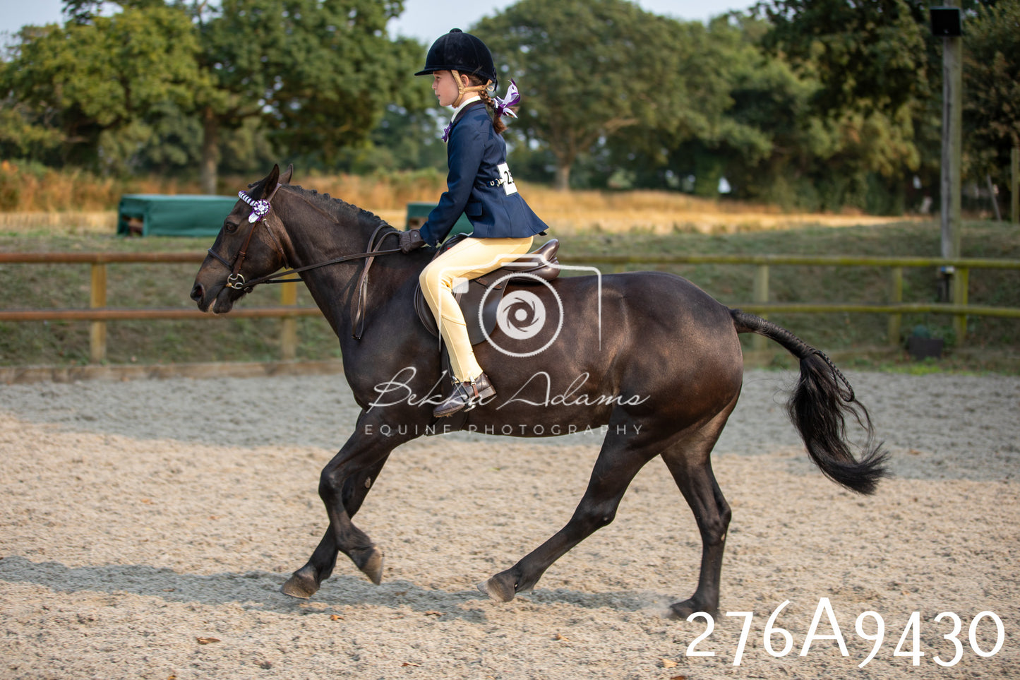 Home Farm Annual Show 2025 - Ridden Pt 1