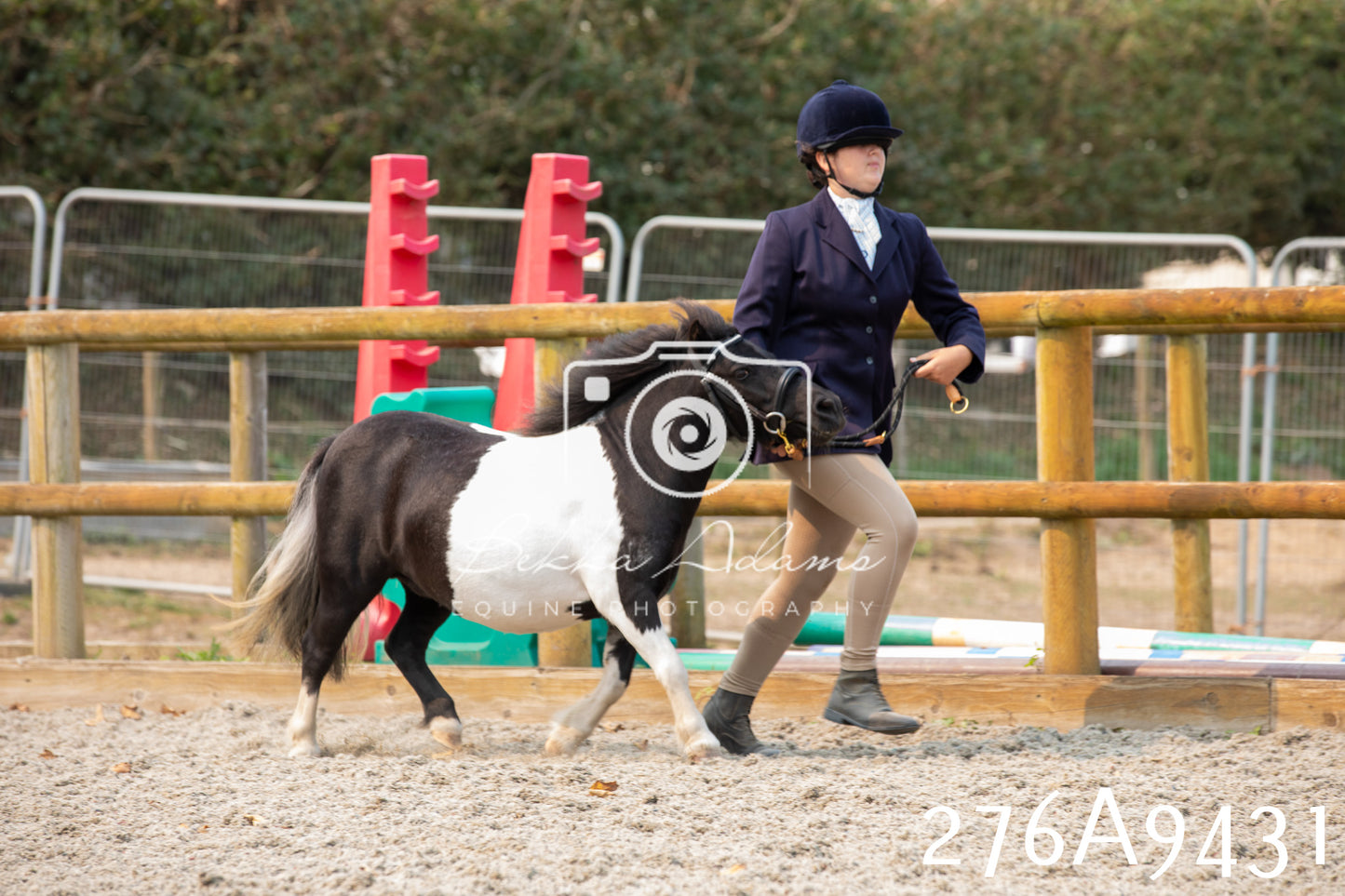 Home Farm Annual Show 2025 - Inhand Pt 2