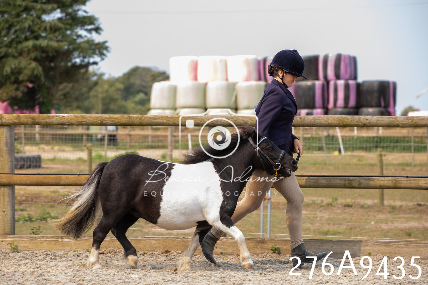 Home Farm Annual Show 2025 - Inhand Pt 2