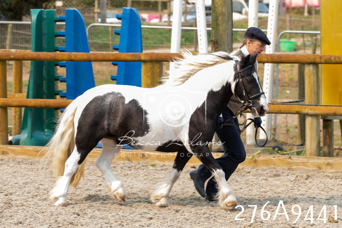 Home Farm Annual Show 2025 - Inhand Pt 2