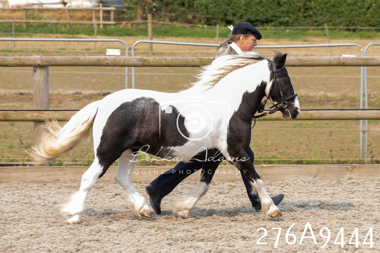 Home Farm Annual Show 2025 - Inhand Pt 2