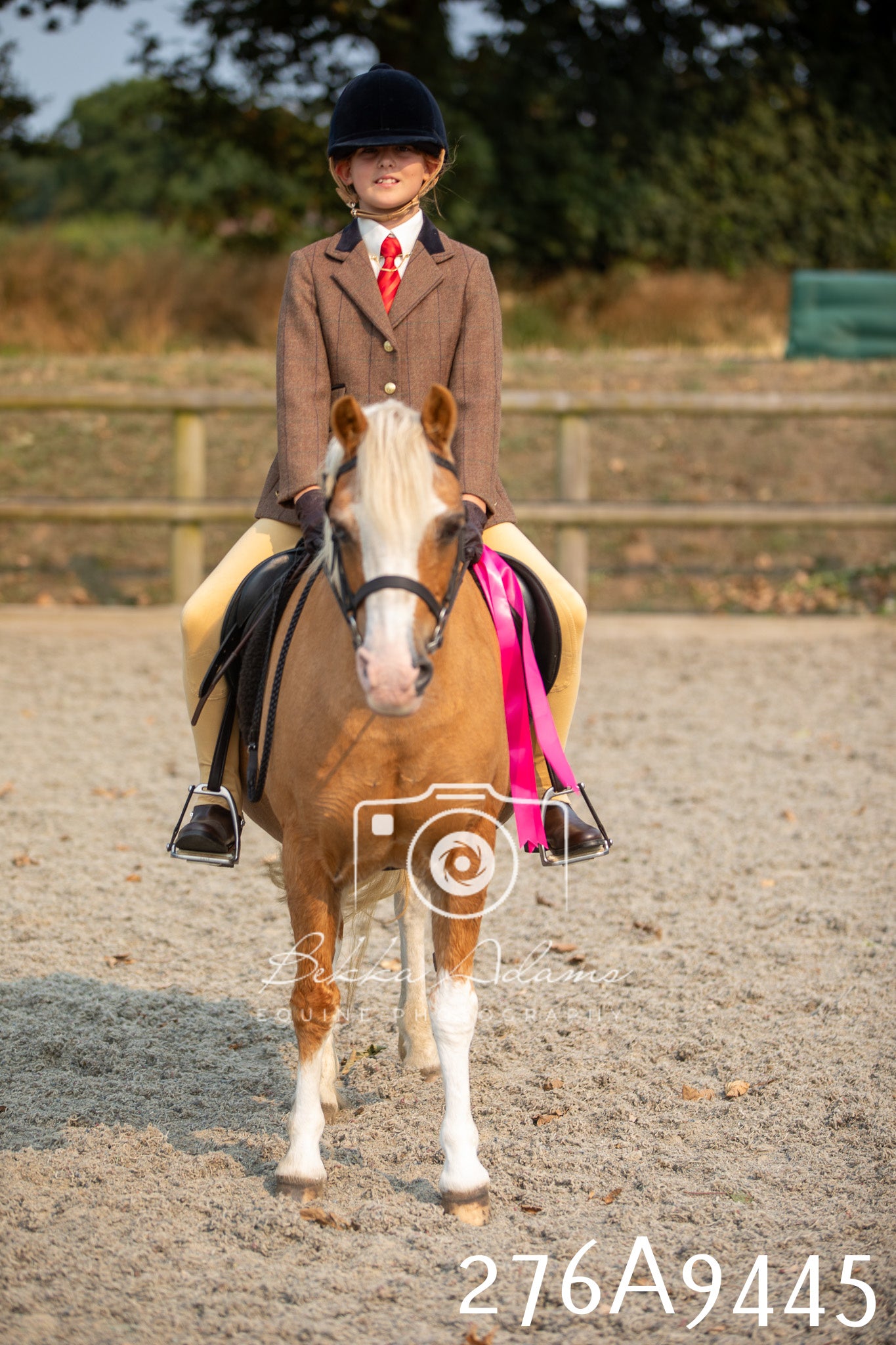 Home Farm Annual Show 2025 - Ridden Pt 1