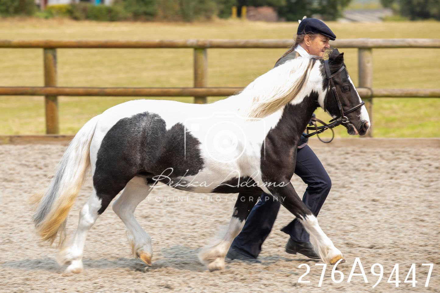 Home Farm Annual Show 2025 - Inhand Pt 2