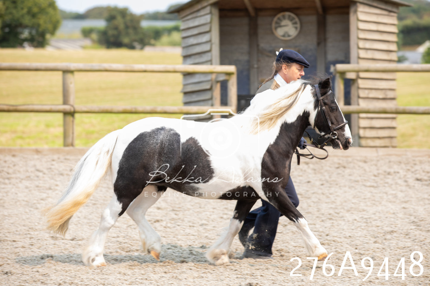 Home Farm Annual Show 2025 - Inhand Pt 2