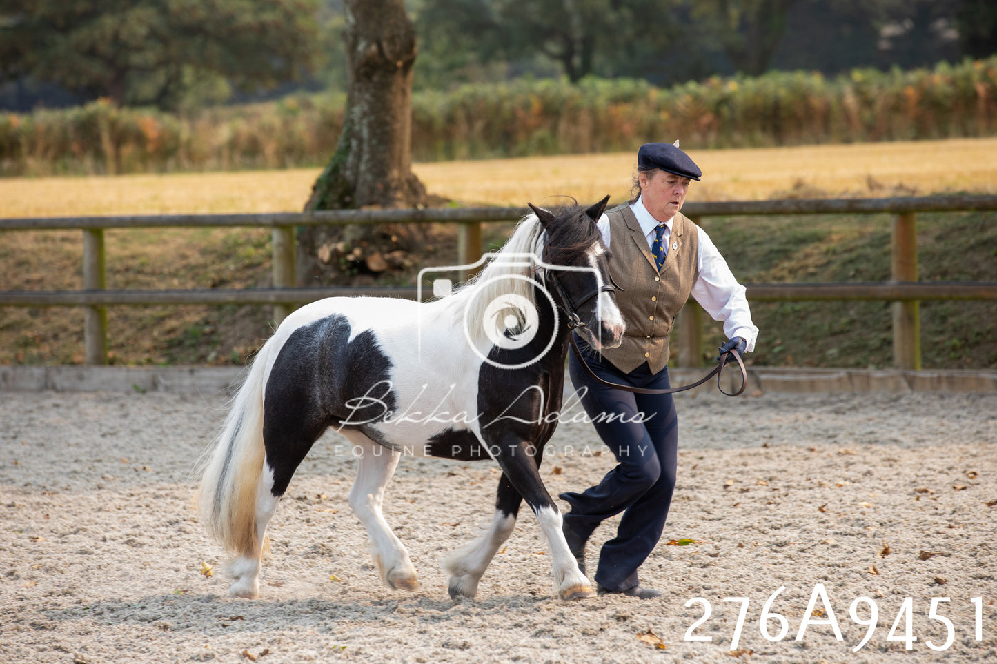 Home Farm Annual Show 2025 - Inhand Pt 2