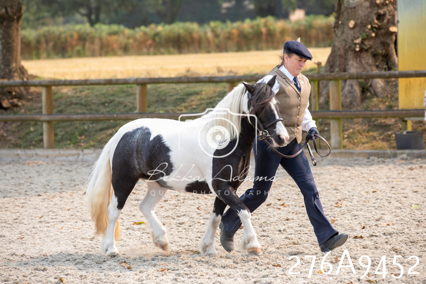 Home Farm Annual Show 2025 - Inhand Pt 2