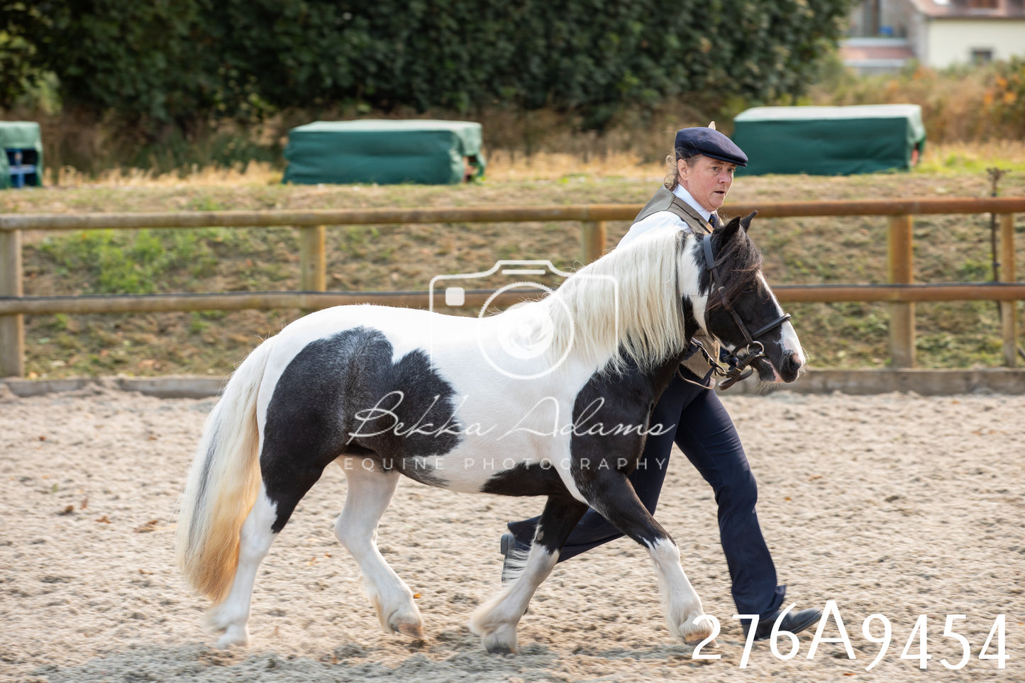 Home Farm Annual Show 2025 - Inhand Pt 2