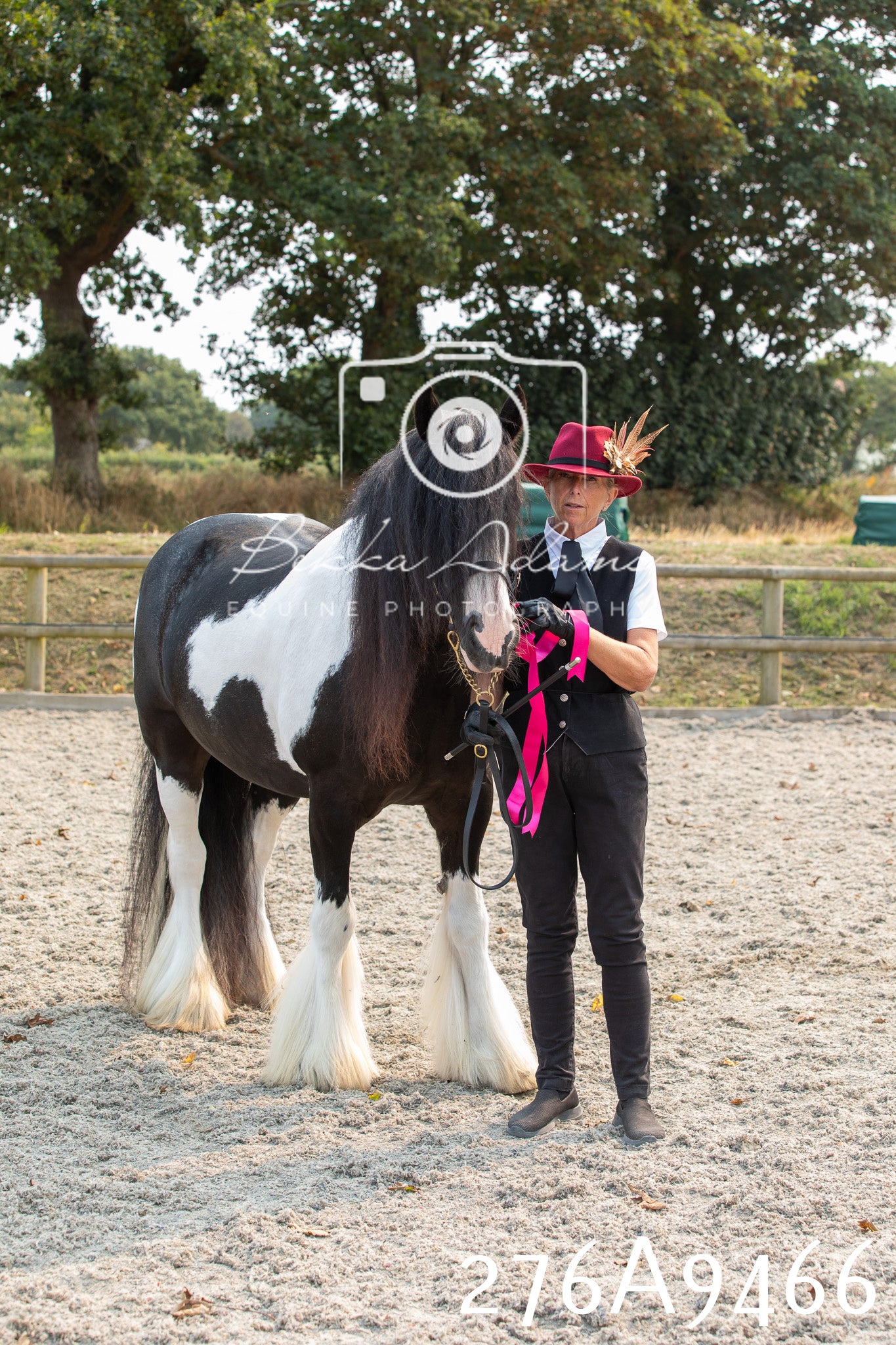 Home Farm Annual Show 2025 - Inhand Pt 2