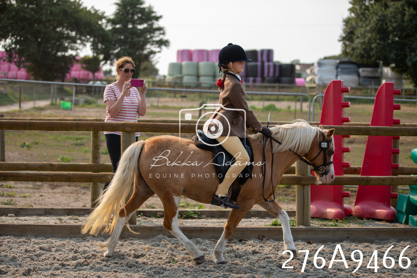 Home Farm Annual Show 2025 - Ridden Pt 1
