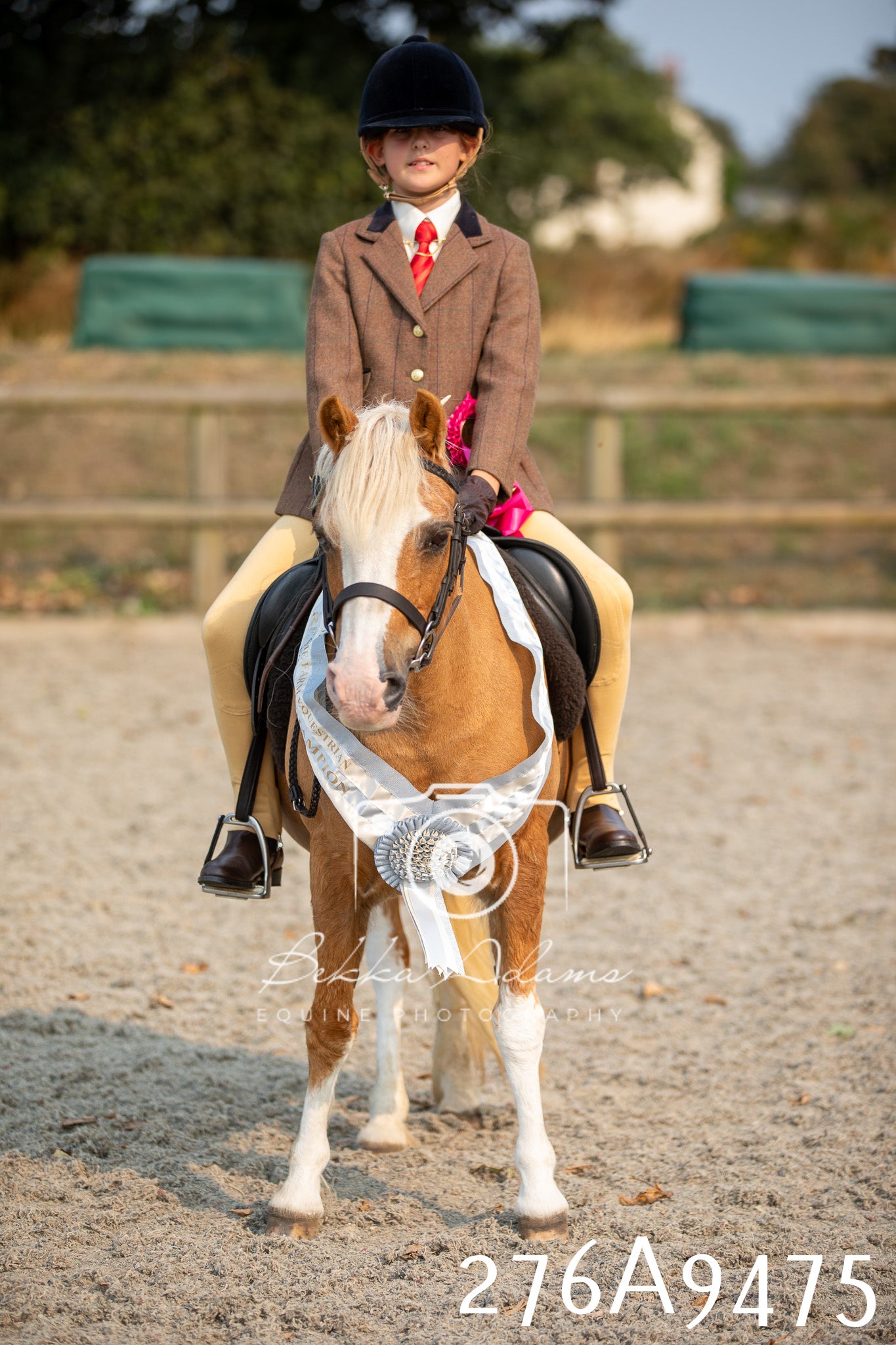 Home Farm Annual Show 2025 - Ridden Pt 1