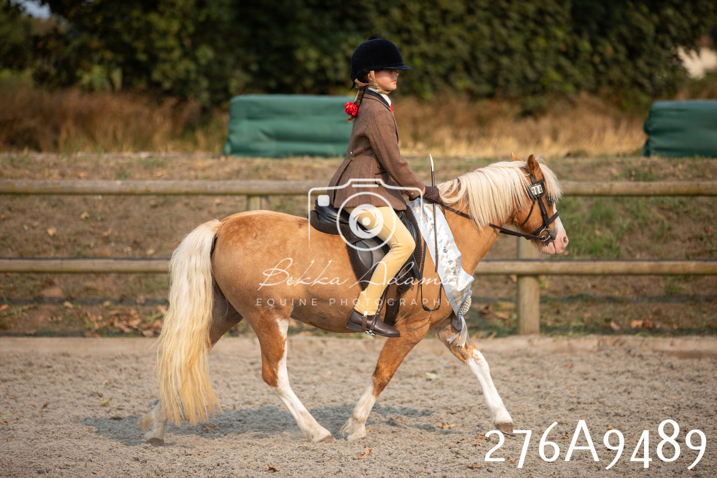 Home Farm Annual Show 2025 - Ridden Pt 1