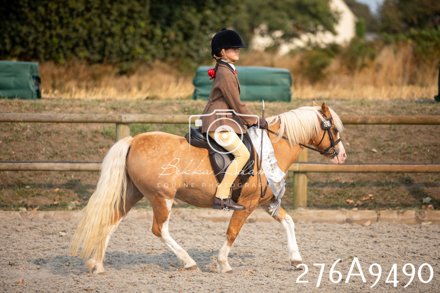 Home Farm Annual Show 2025 - Ridden Pt 1