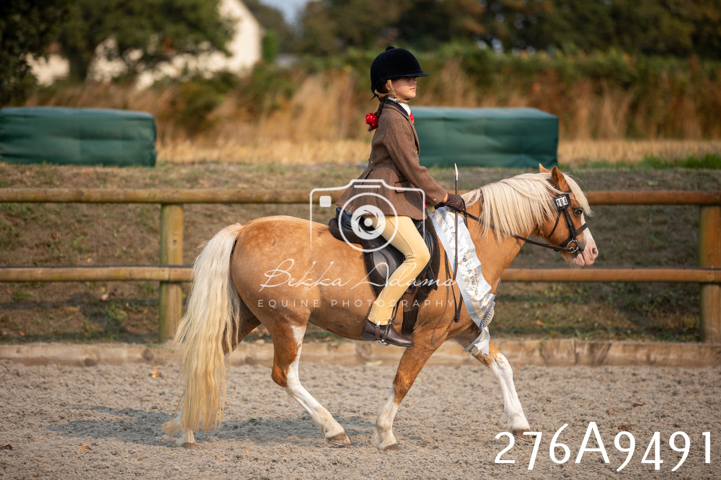Home Farm Annual Show 2025 - Ridden Pt 1