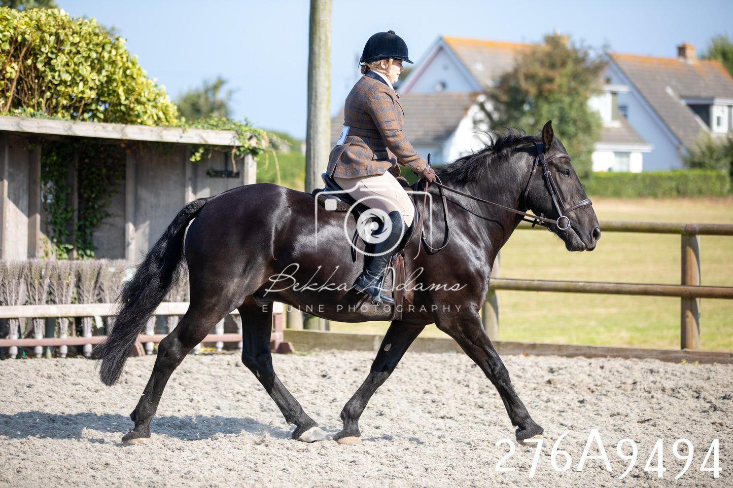 Home Farm Annual Show 2025 - Ridden Pt 1