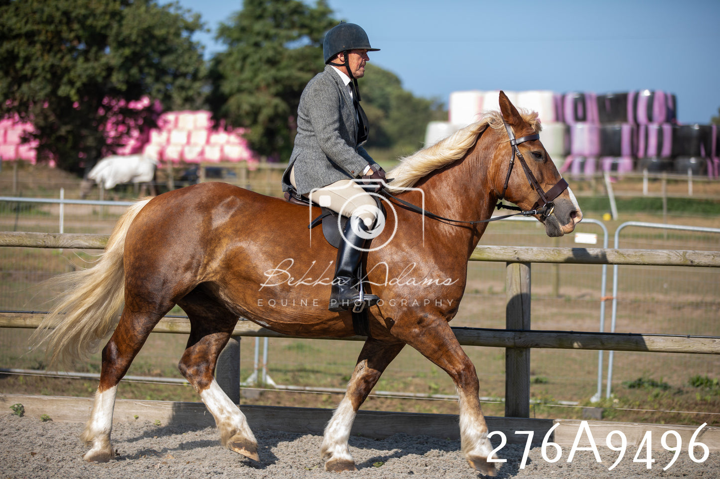 Home Farm Annual Show 2025 - Ridden Pt 1