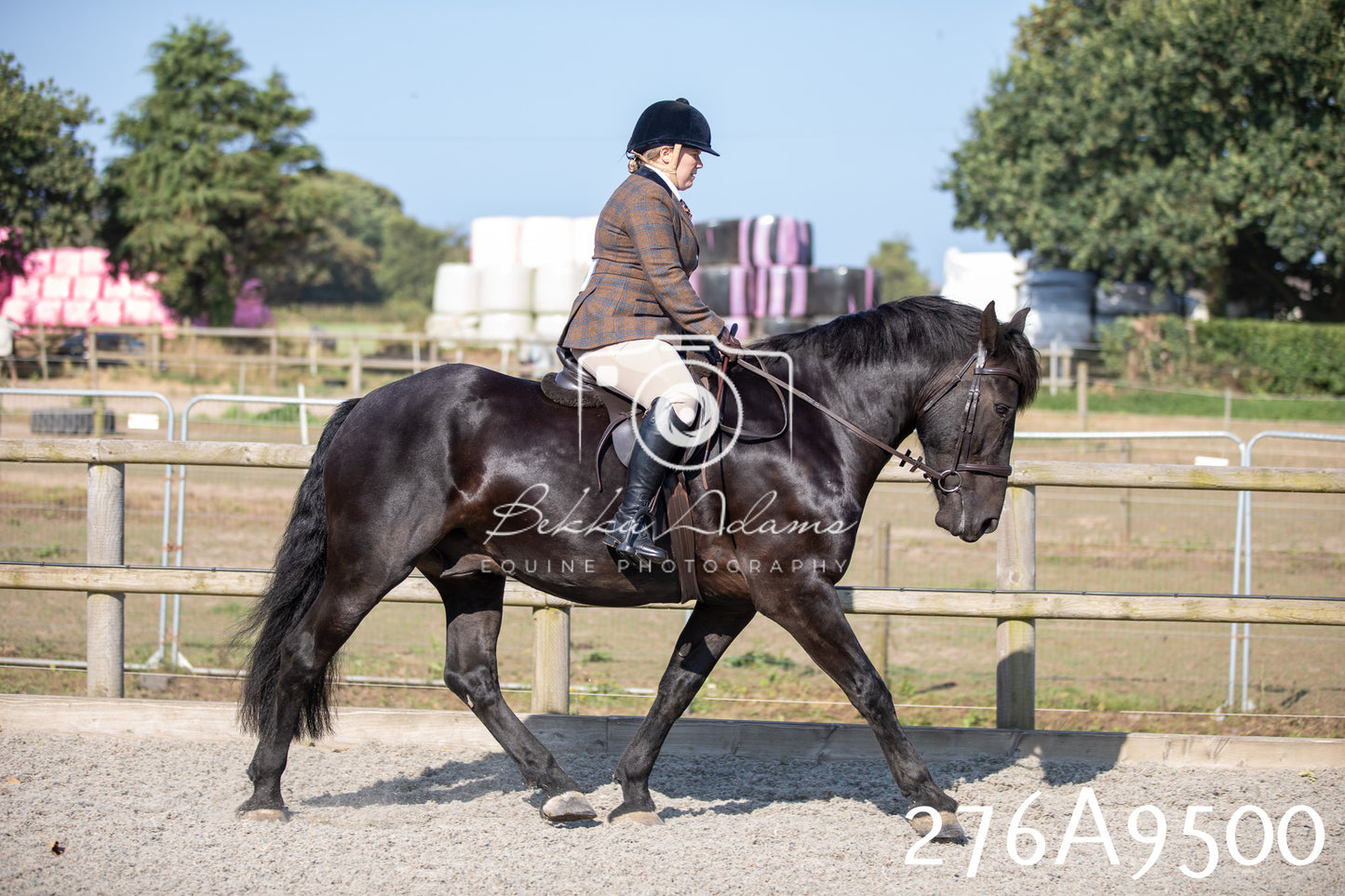 Home Farm Annual Show 2025 - Ridden Pt 1