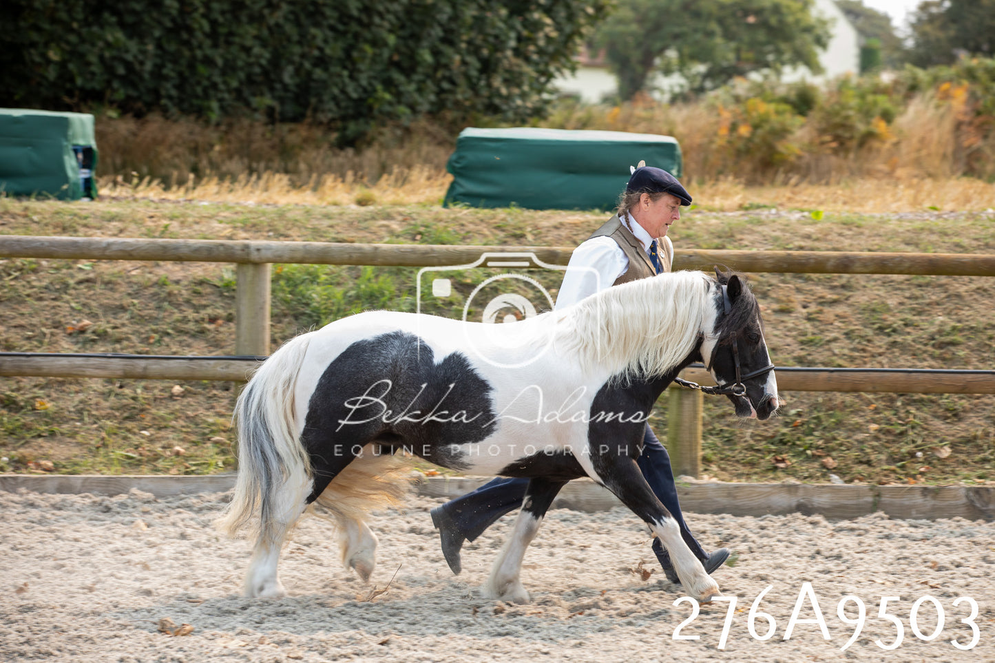 Home Farm Annual Show 2025 - Inhand Pt 2