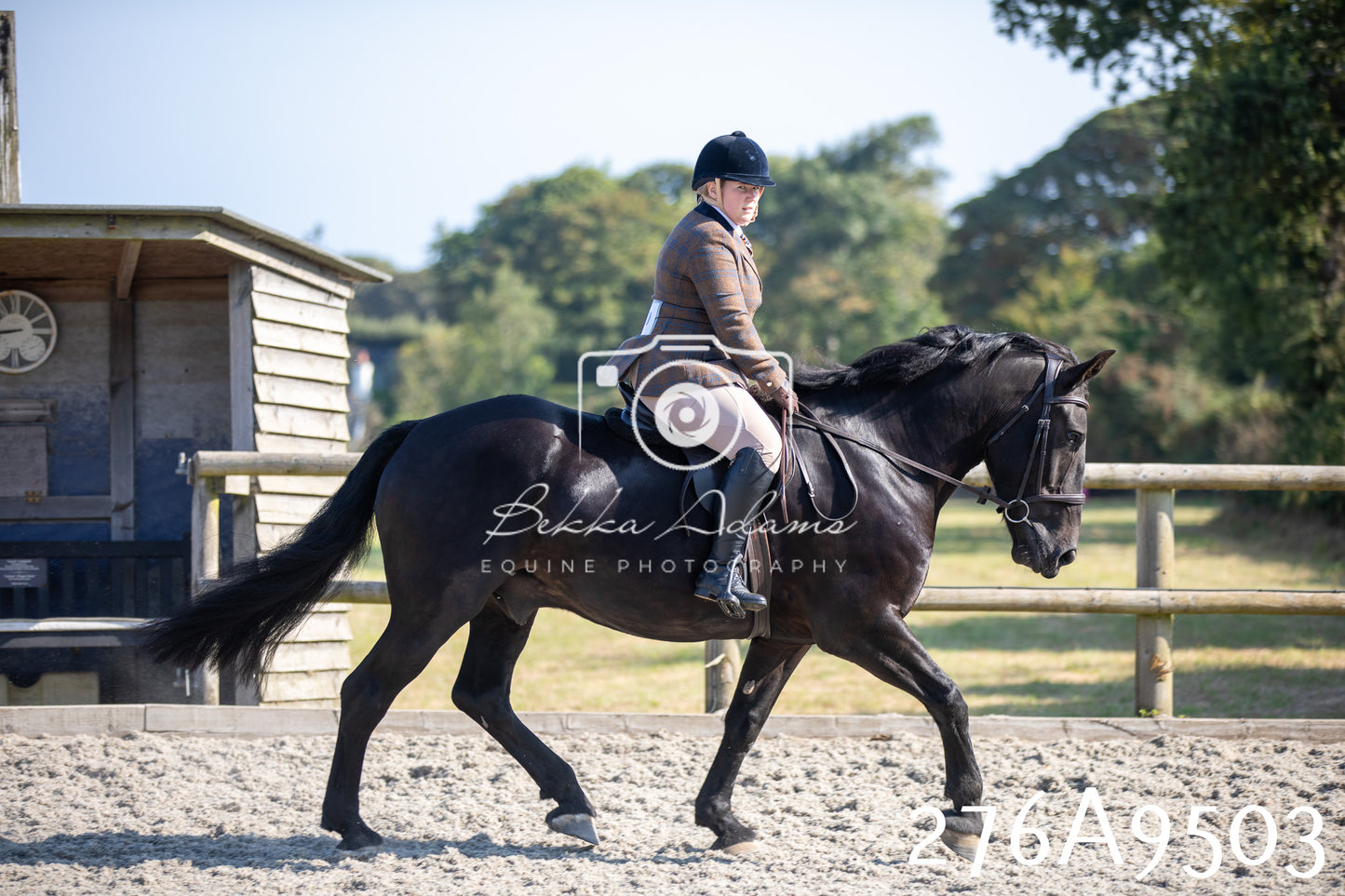 Home Farm Annual Show 2025 - Ridden Pt 1