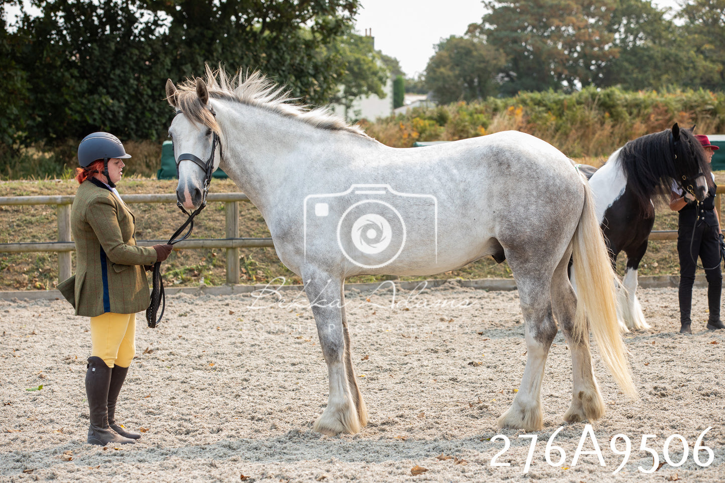 Home Farm Annual Show 2025 - Inhand Pt 2