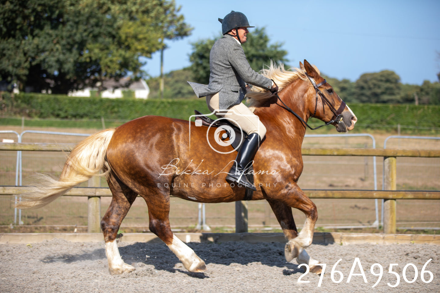 Home Farm Annual Show 2025 - Ridden Pt 1