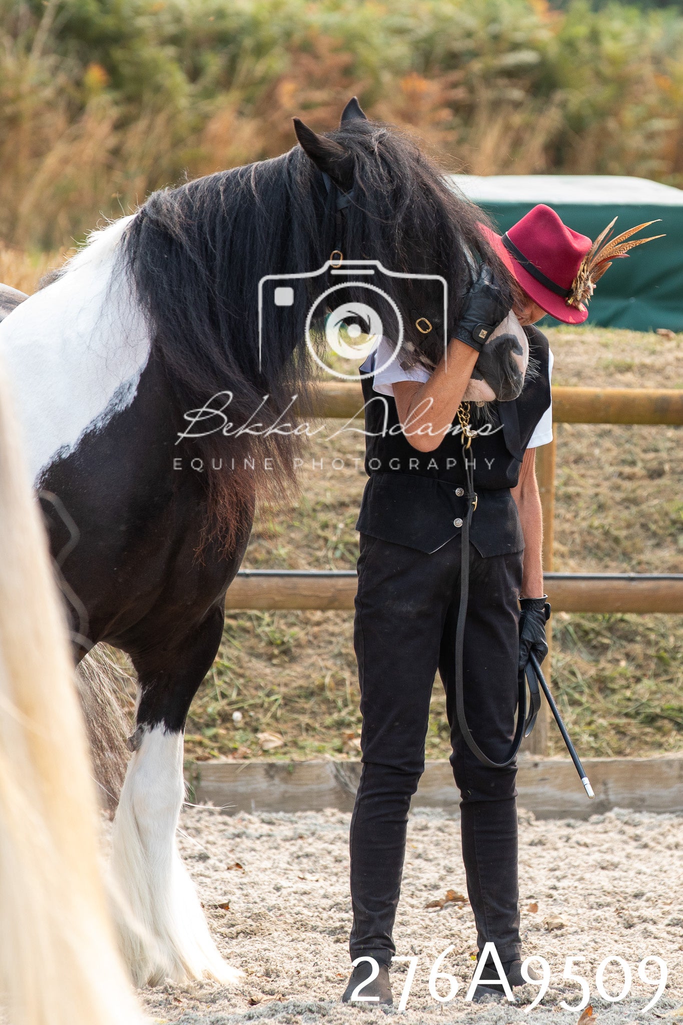 Home Farm Annual Show 2025 - Inhand Pt 2