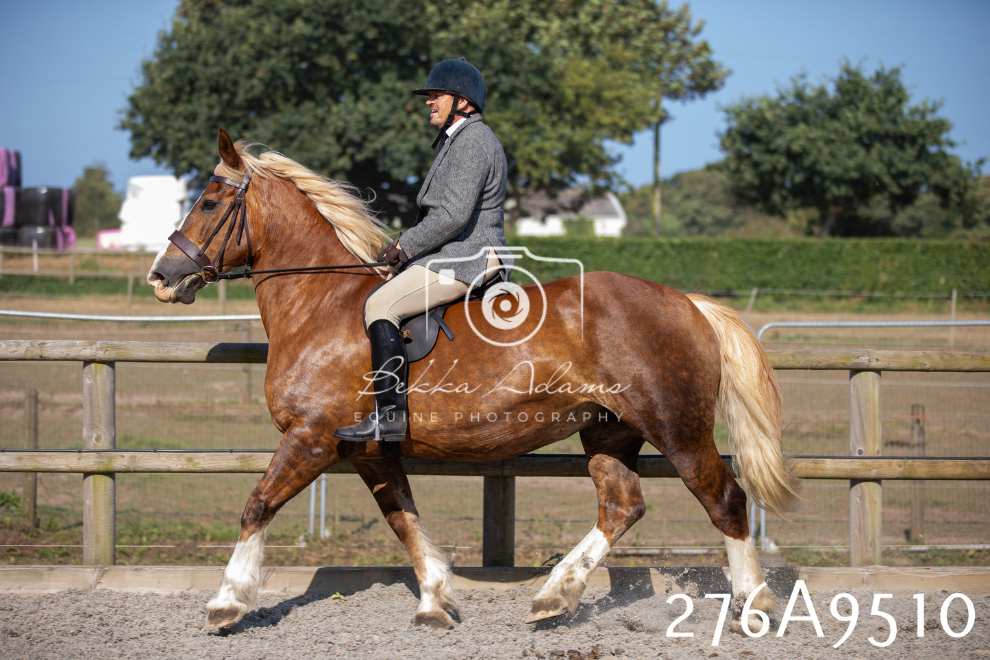 Home Farm Annual Show 2025 - Ridden Pt 1
