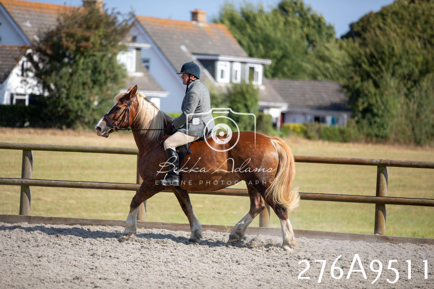 Home Farm Annual Show 2025 - Ridden Pt 1