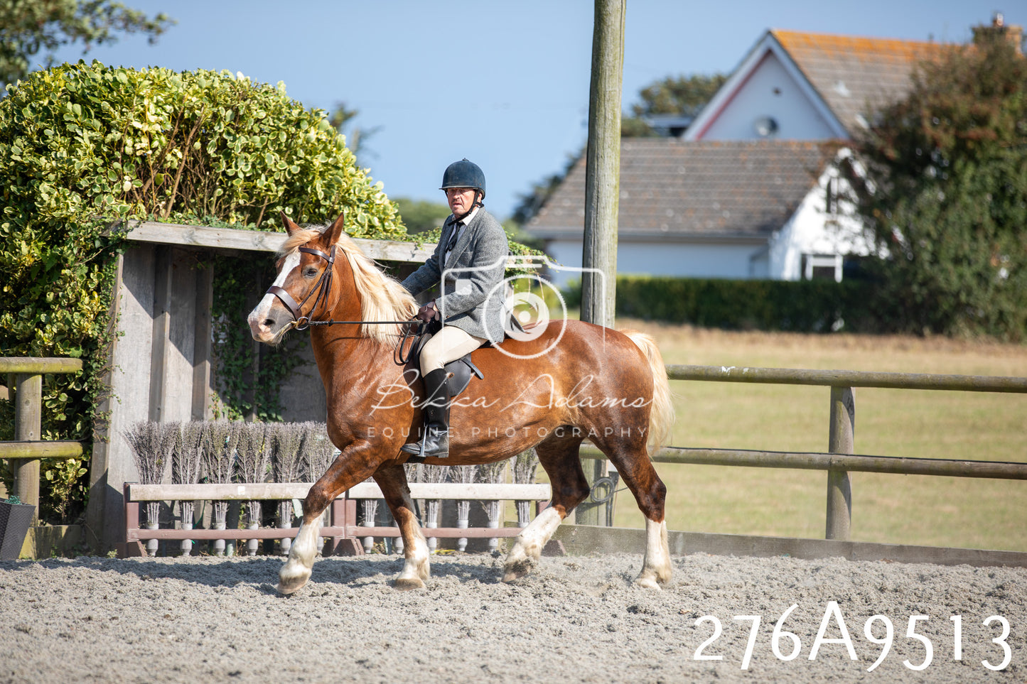 Home Farm Annual Show 2025 - Ridden Pt 1