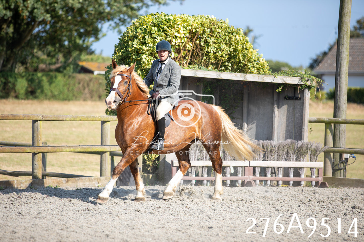 Home Farm Annual Show 2025 - Ridden Pt 1