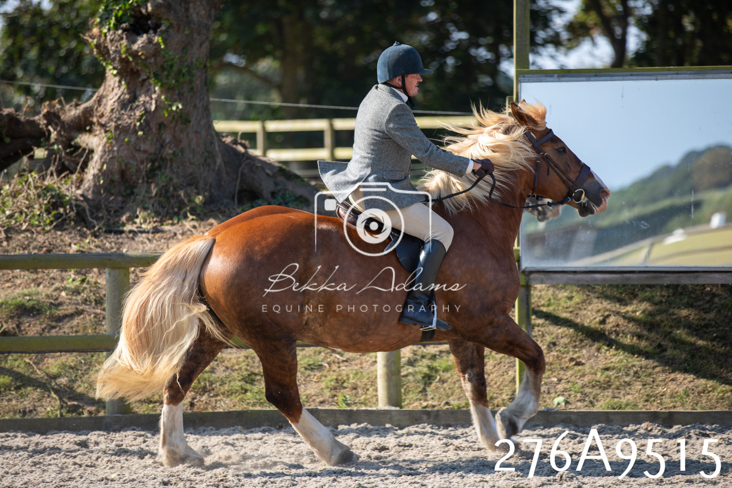 Home Farm Annual Show 2025 - Ridden Pt 1