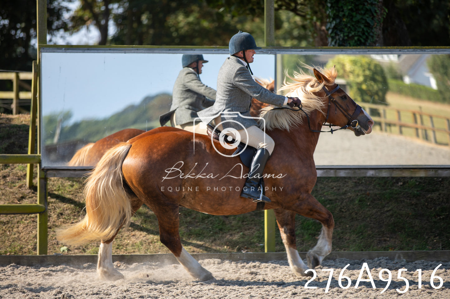Home Farm Annual Show 2025 - Ridden Pt 1