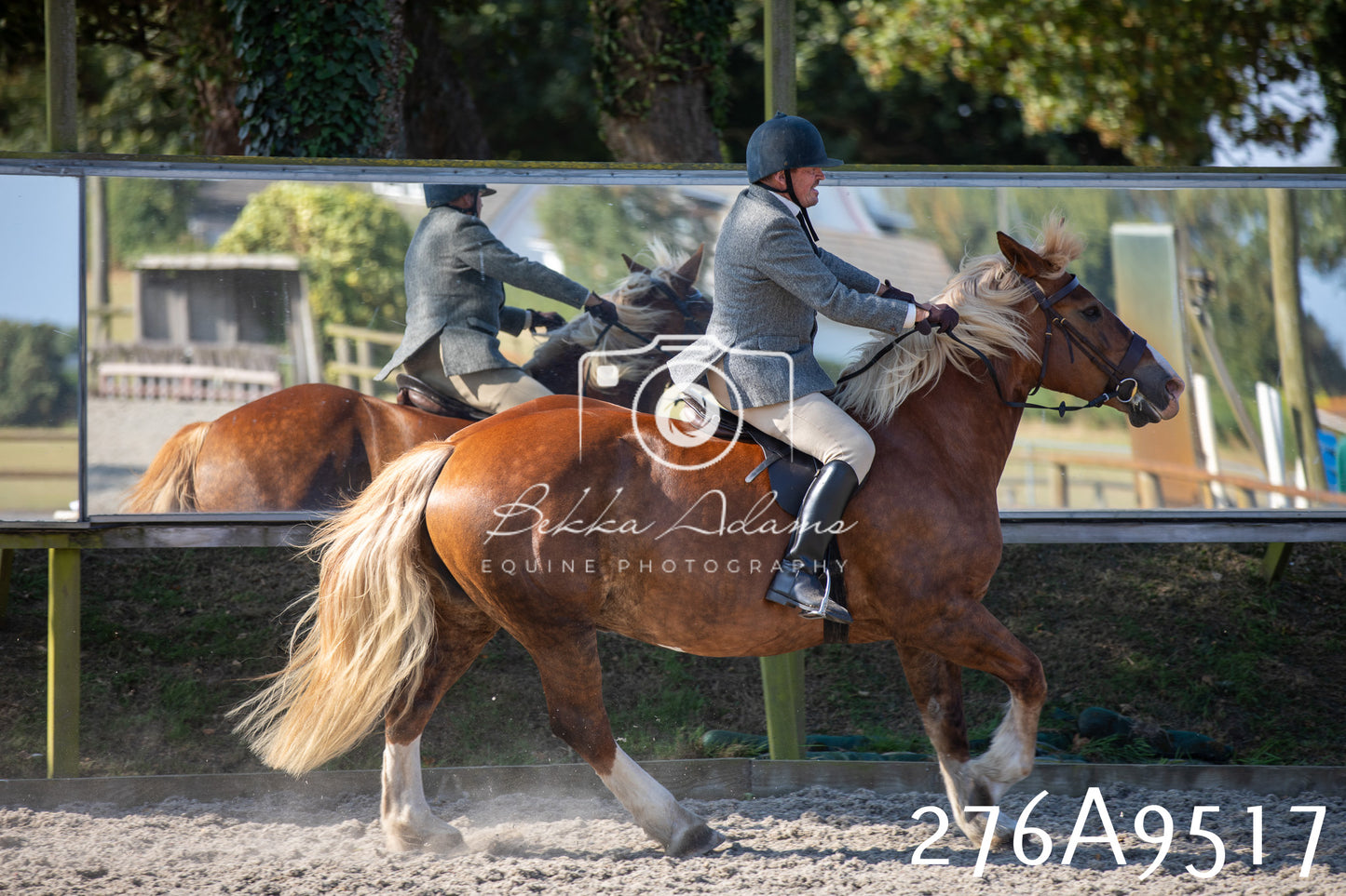 Home Farm Annual Show 2025 - Ridden Pt 1