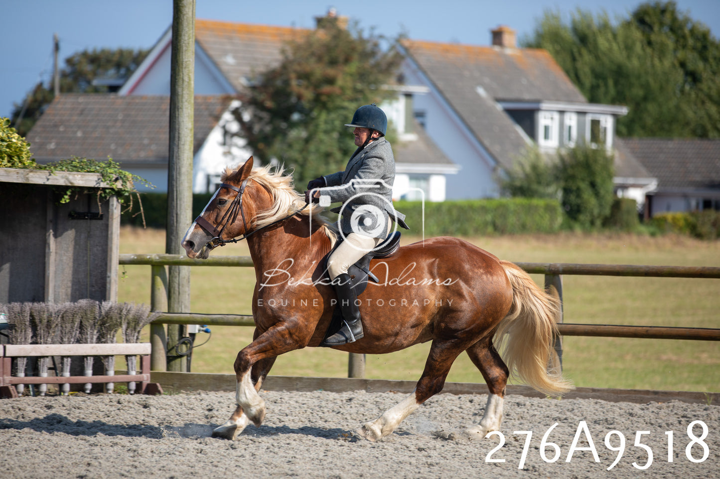 Home Farm Annual Show 2025 - Ridden Pt 1